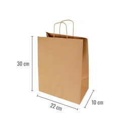 Torba papierowa z uchwytem skręcanym 22 x 10 x 30 cm 250 szt.