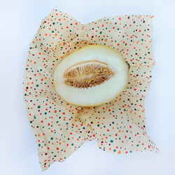 Woskowijka "Groszki" rozmiar "L" 36 x 36 cm 1 szt.